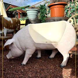 Easter & Outdoor Prop Hire | Life Size Pig Seat